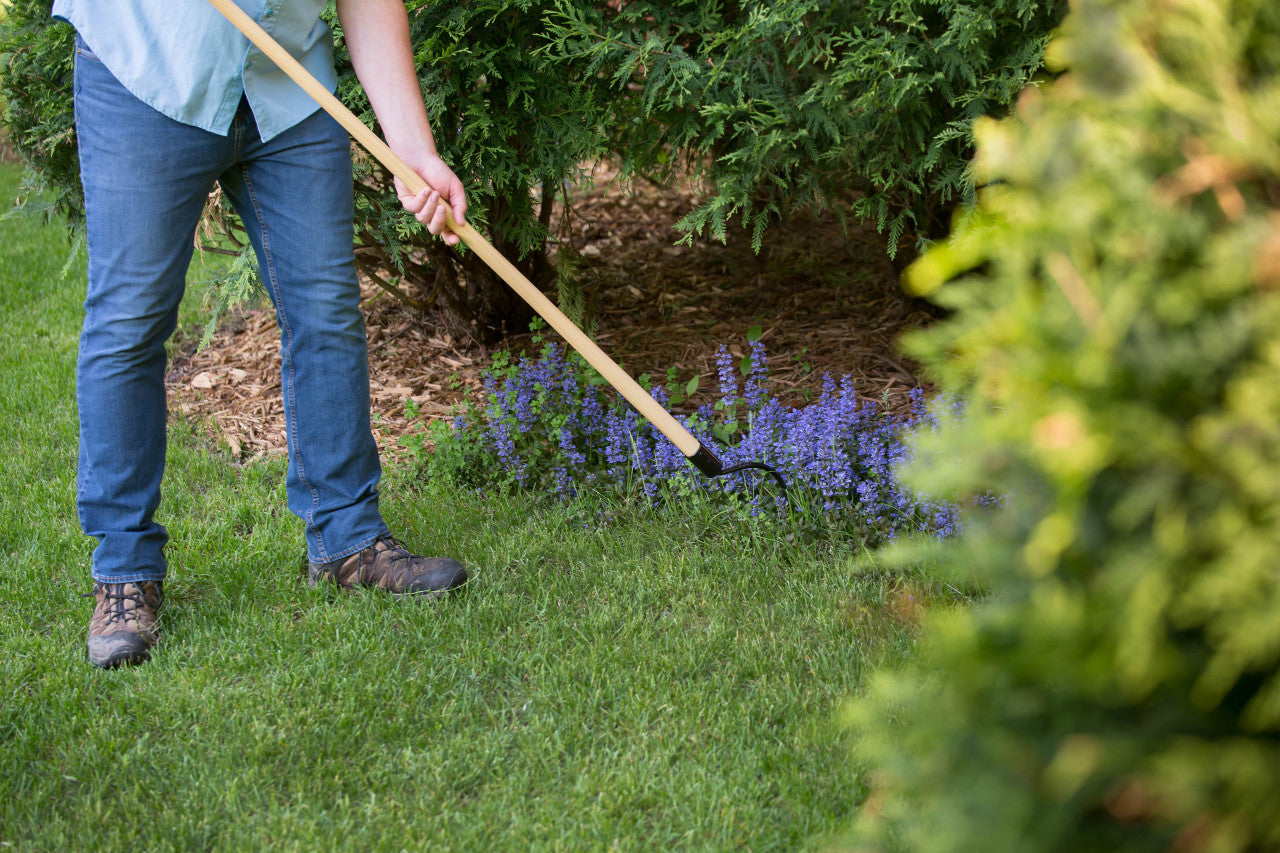 CobraHead Long Handle Weeder & Cultivator Garden Tool